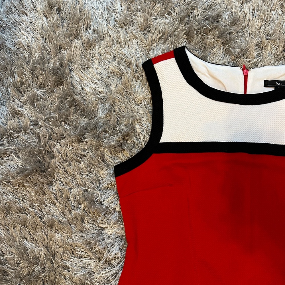 Color Block Sleeveless Dress - R&K - Picture 3 of 13